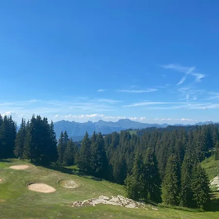 Monarch - Les Carroz - Sauna, & Vue Montagnes Chalet *